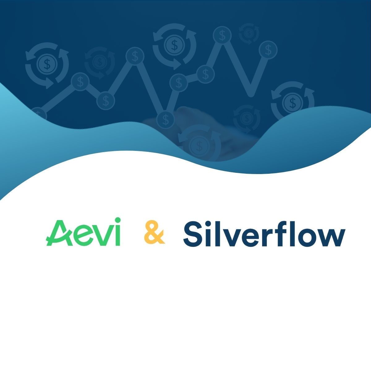Aevi x Silverflow