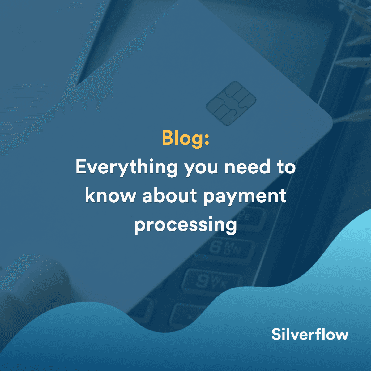 Blog payments 101