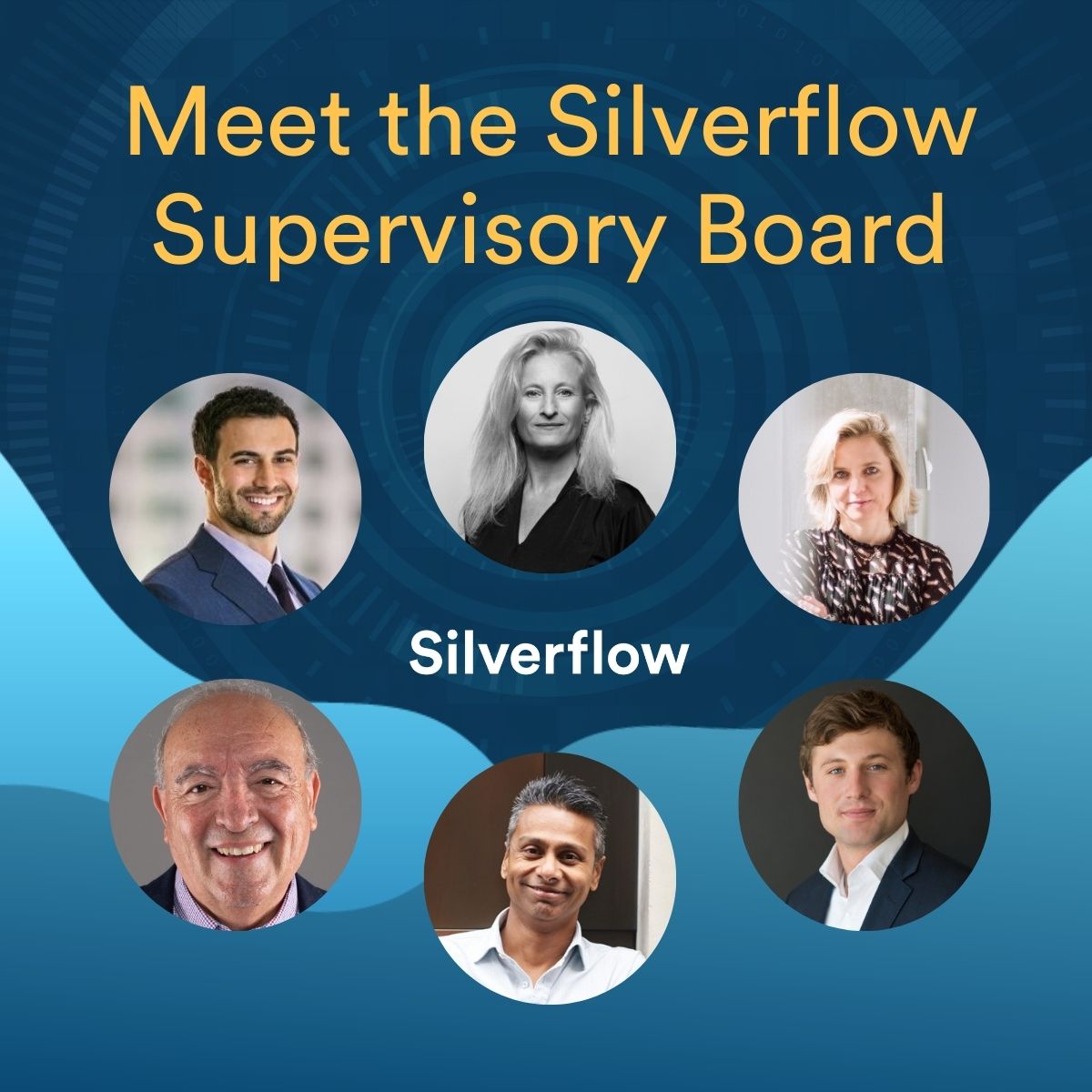 Silverflow Supervisory Board