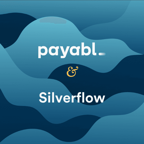 Silver Flow Silverflow - Q2 2025: Card Scheme Updates
